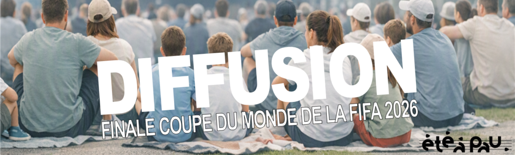 DIFFUSION DE LA FINALE DE LA COUPE DU MONDE